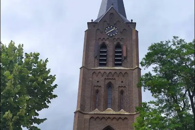 De kerktoren van Zeeland tussen de bomen